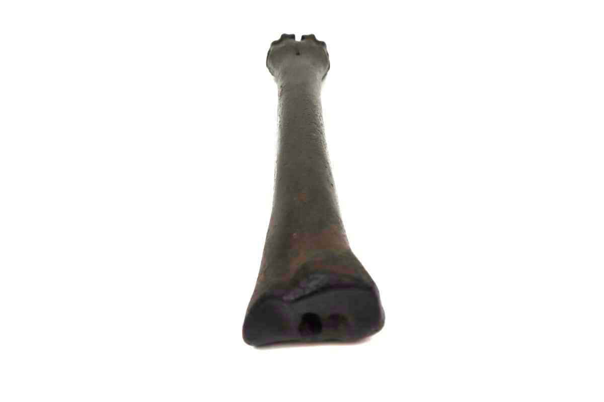 Metacarpus Bone of an Irish Elk (Megaloceros) (32,5 cm) - Image 6