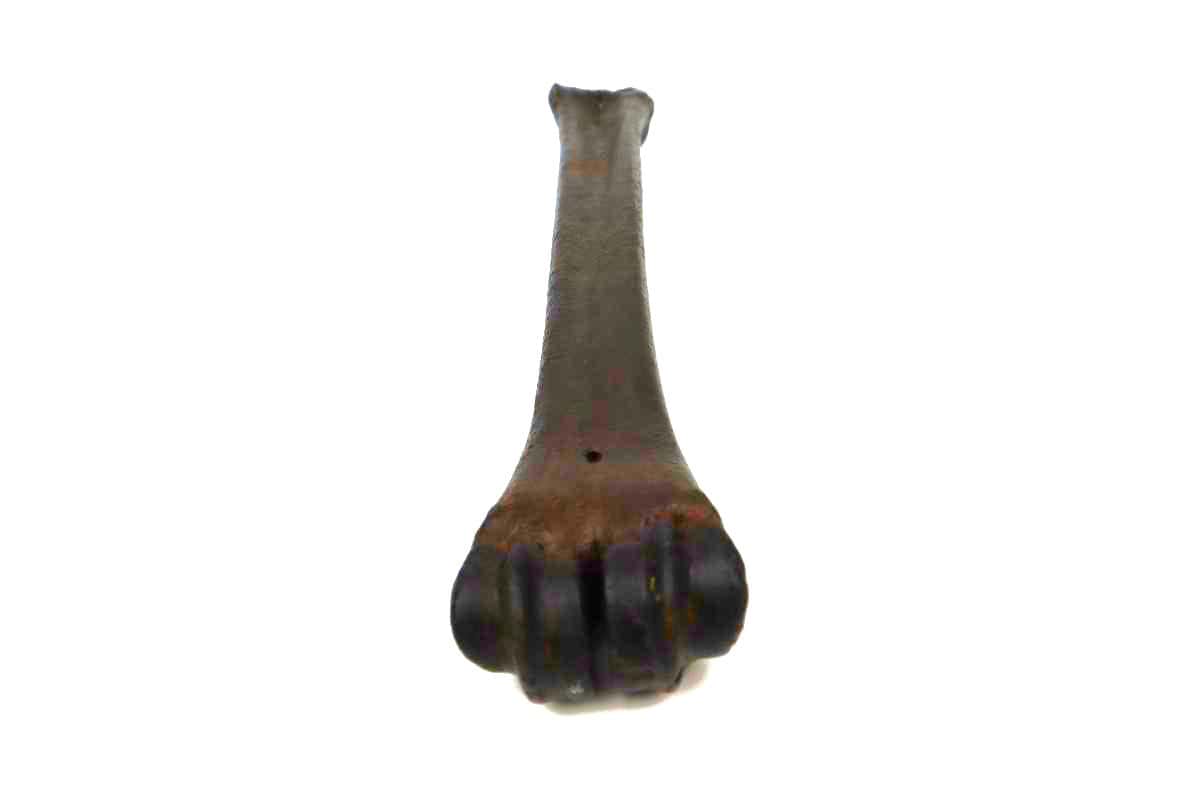 Metacarpus Bone of an Irish Elk (Megaloceros) (32,5 cm) - Image 7