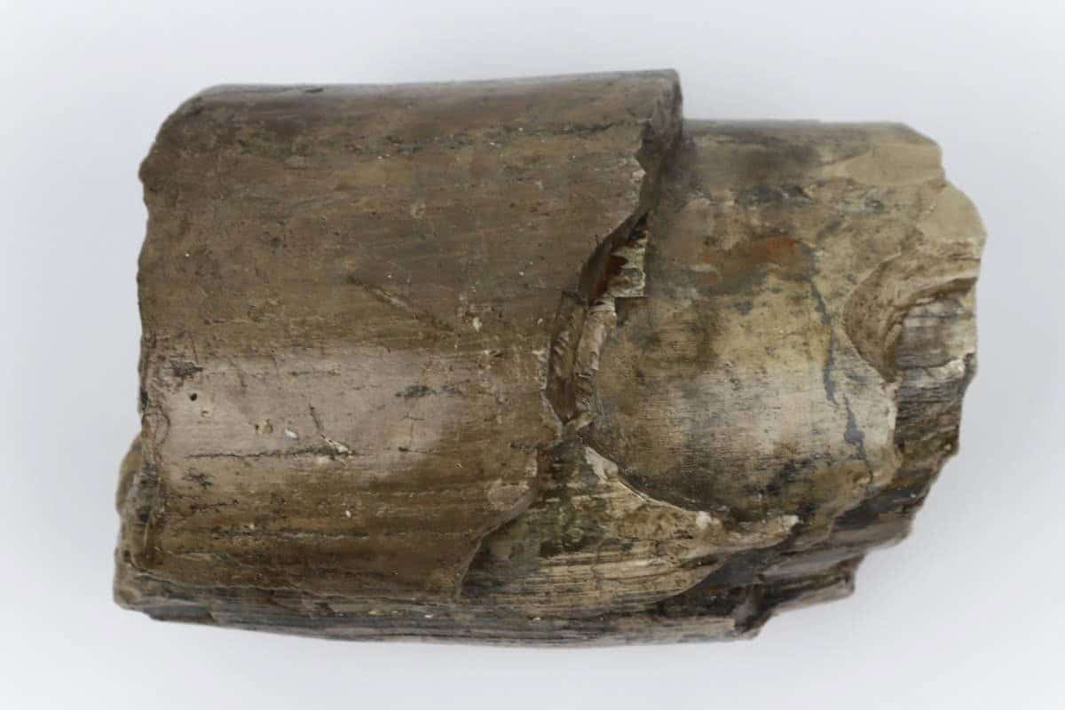1673 (1)