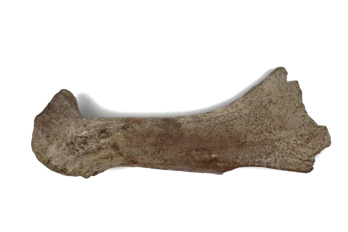 2776 (1)
