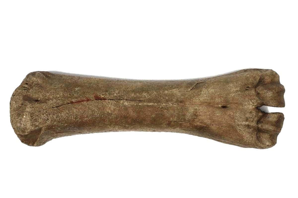 2529-1