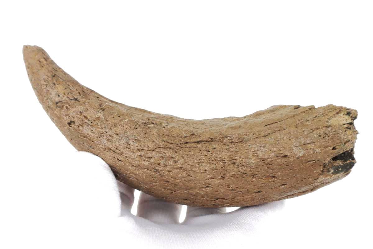 2532-1