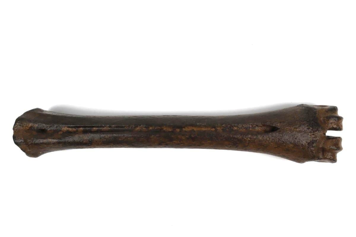 2692 (2)